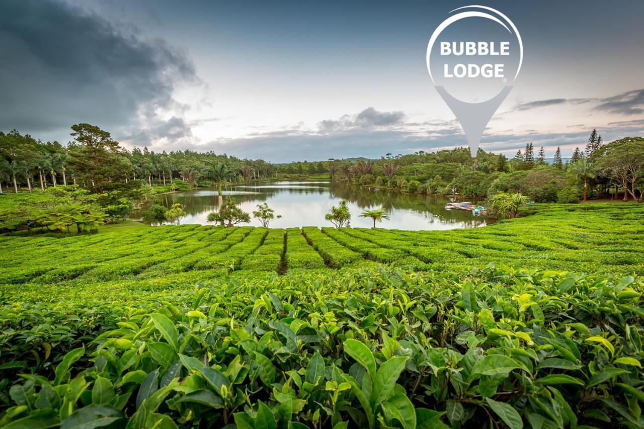 Bubble Lodge Bois Cheri Plantation Buitenkant foto